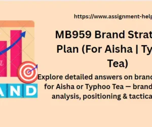 MB959 Brand Strategy & Plan (For Aisha | Typhoo Tea)
