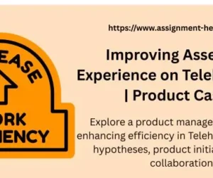 Improving Assessor Experience on TeleheliosOS | Product Case