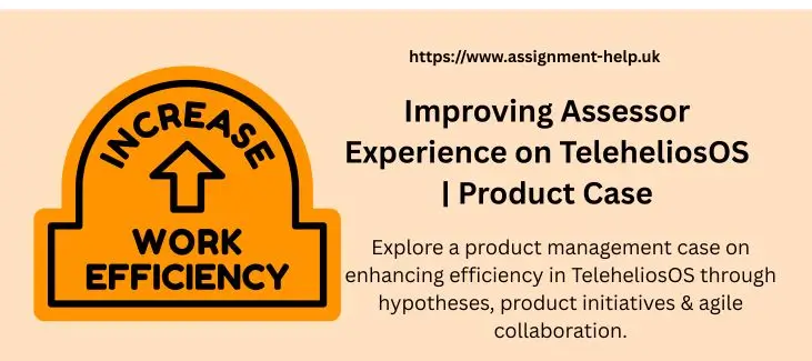 Improving Assessor Experience on TeleheliosOS | Product Case