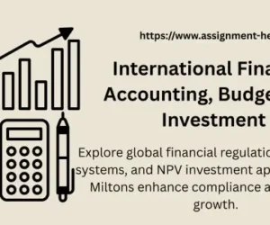 International Financial Accounting, Budgeting & Investment