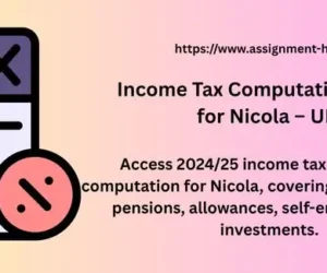 Income Tax Computation Report for Nicola – UK