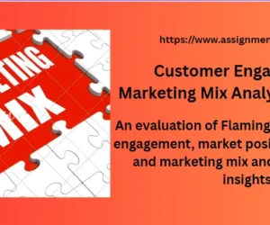 Customer Engagement & Marketing Mix Analysis | Flamingo