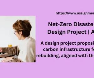 Net-Zero Disaster Rebuild Design Project | Arup Case