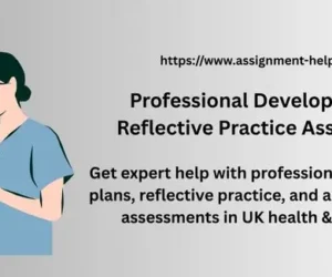 Professional Development & Reflective Practice Assignment Help