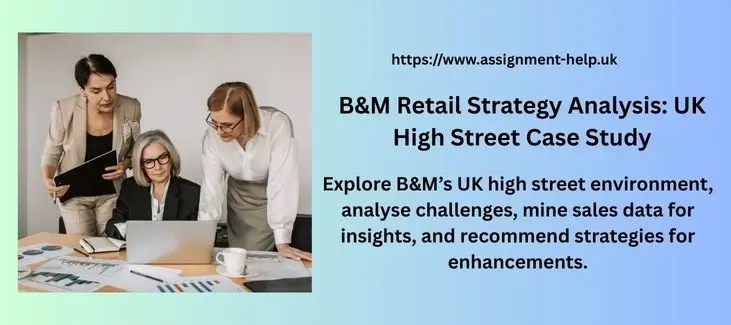B&M Retail Strategy Analysis: UK High Street Case Study