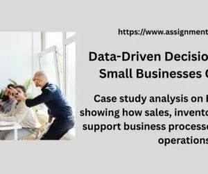 Data-Driven Decision Making for Small Businesses Case Study